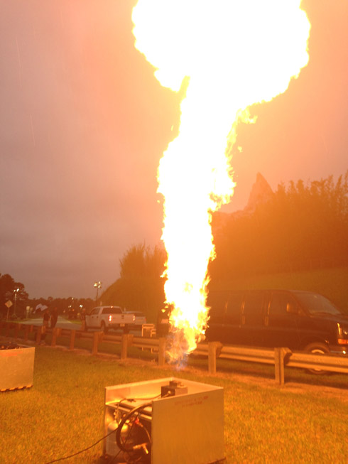 propane drangonfly flame  at disney event